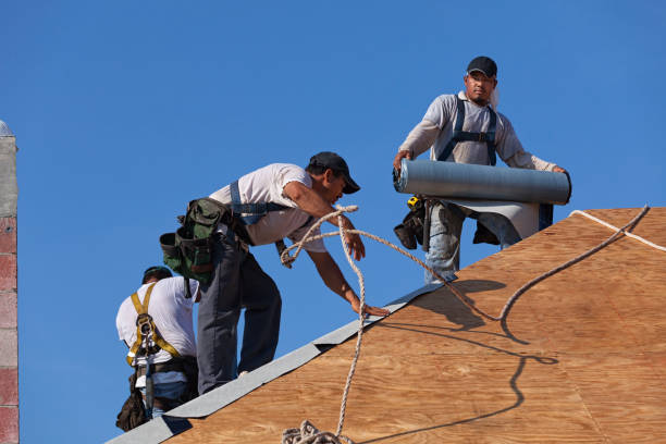 Best Roof Maintenance Services  in Hernando Beach, FL